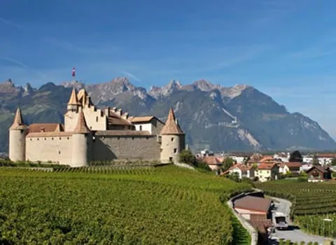 Aigle
